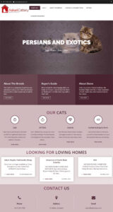 NZ Web Sites - Askari Cattery